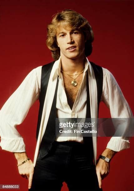 andy gibb photos|93 Andy Gibb Posed Stock Photos & High